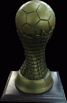 Resina 10