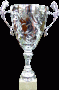 COPA METALICA 7