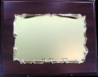 Plaqueta 3