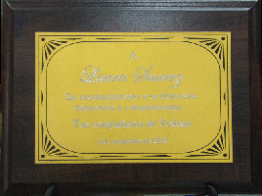 Plaqueta 12