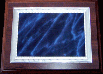 Plaqueta 7