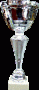 COPA METALICA 9