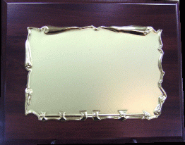 Plaqueta 3