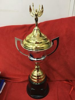 Copa Plástico 8