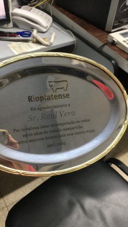 Bandeja Acero Profesional