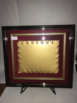 Cuadro Vitrina Modelo 6300